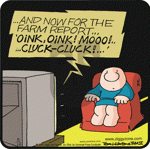 Ziggy on Monday February 12, 2001 Comic Strip