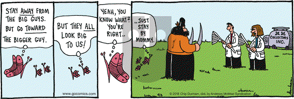 Overboard on Wednesday April 4, 2018 Comic Strip