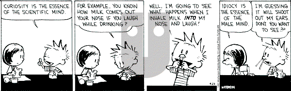 Calvin and Hobbes - Friday April 23, 1993 Comic Strip