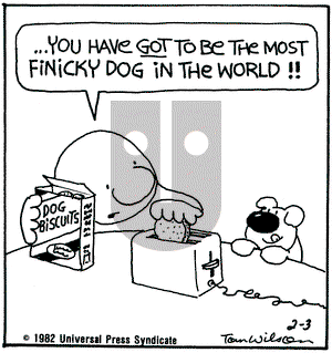 Ziggy on Wednesday February 3, 1982 Comic Strip