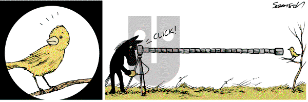 Dark Side of the Horse on Friday April 6, 2012 Comic Strip
