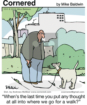 Cornered on Thursday December 6, 2018 Comic Strip