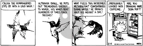 Calvin and Hobbes - Monday August 15, 1994 Comic Strip