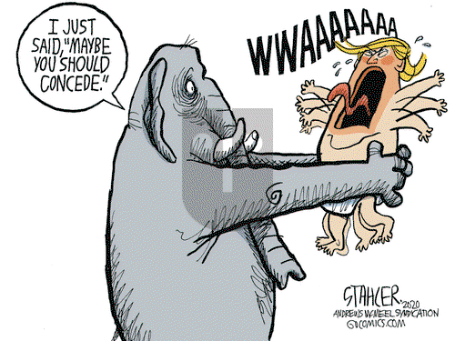 Jeff Stahler on Wednesday November 11, 2020 Comic Strip