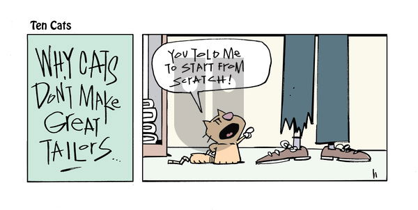 Ten Cats on Friday February 14, 2025 Comic Strip