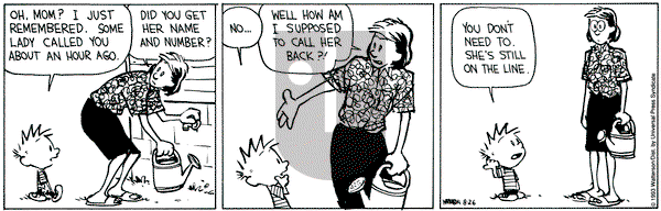 Calvin and Hobbes on Thursday August 26, 1993 Comic Strip