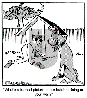 Marmaduke on Wednesday June 8, 2005 Comic Strip