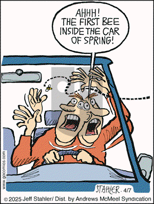 Moderately Confused on Monday April 7, 2025 Comic Strip