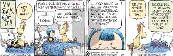 Non Sequitur - Tuesday January 20, 2009 Comic Strip
