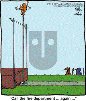 In the Bleachers on Monday August 21, 2017 Comic Strip