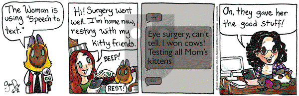 Breaking Cat News - Friday June 2, 2023 Comic Strip