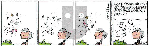 Next Door Neighbors on Thursday May 29, 2025 Comic Strip