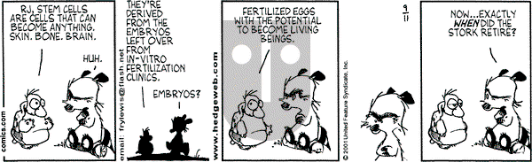 Over the Hedge on Tuesday September 11, 2001 Comic Strip