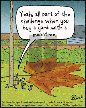 Loose Parts - Wednesday November 20, 2024 Comic Strip