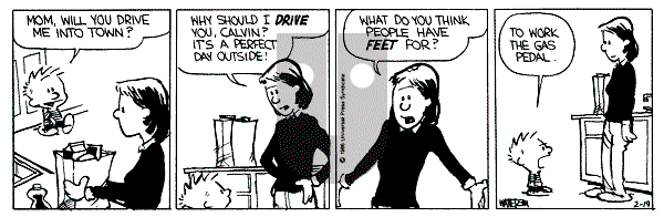 Calvin and Hobbes - Wednesday February 19, 1986 Comic Strip