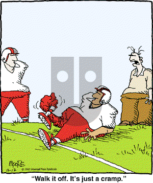 In the Bleachers - Tuesday November 12, 2002 Comic Strip