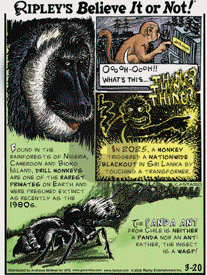 Ripley's Believe It or Not on Thursday March 20, 2025 Comic Strip