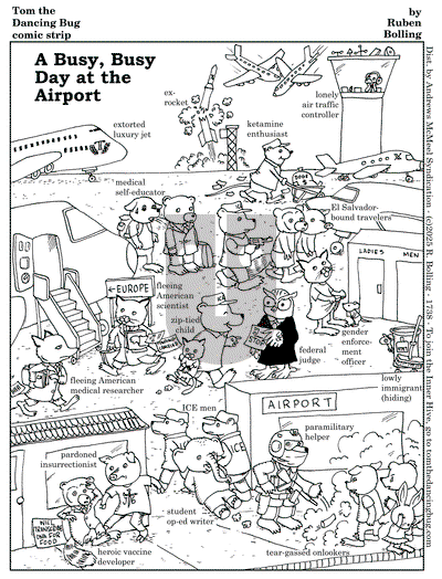 Tom the Dancing Bug on Monday June 2, 2025 Comic Strip