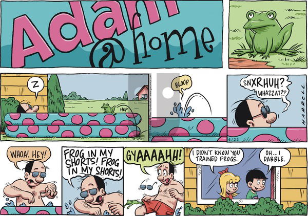 Adam@Home - Sunday June 23, 2024 Comic Strip