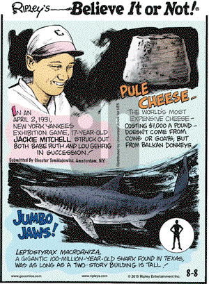 Ripley's Believe It or Not on Saturday August 8, 2015 Comic Strip