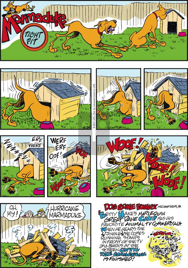 Marmaduke on Sunday August 24, 2014 Comic Strip