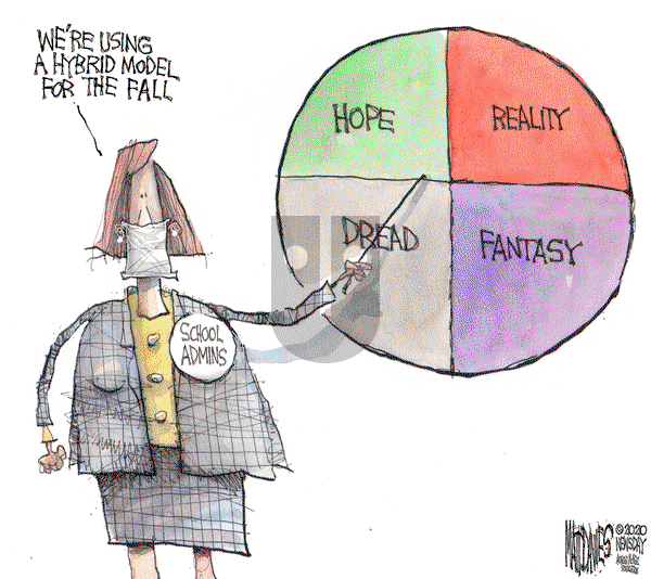 Matt Davies on Monday August 24, 2020 Comic Strip
