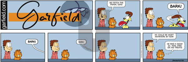 Garfield on Sunday August 28, 2016 Comic Strip