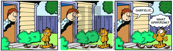 Garfield on Wednesday May 22, 1991 Comic Strip