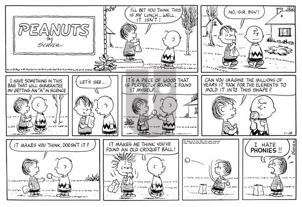 Peanuts on Sunday January 19, 1964 Comic Strip