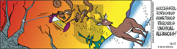 Rose is Rose on Monday December 17, 2018 Comic Strip