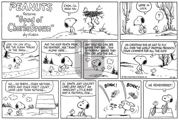 Peanuts on Sunday December 26, 1982 Comic Strip