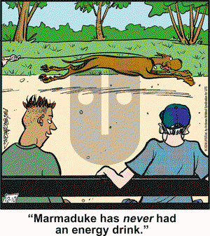 Marmaduke - Tuesday December 10, 2024 Comic Strip