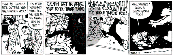 Calvin and Hobbes - Wednesday January 13, 2021 Comic Strip