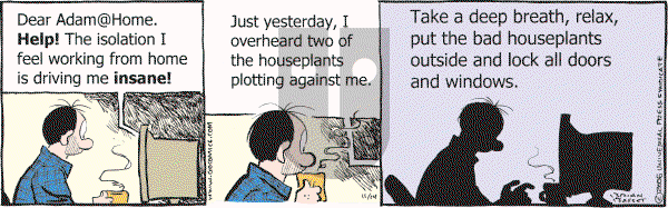 Adam@Home on Tuesday November 14, 2006 Comic Strip