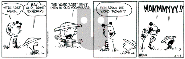 Calvin and Hobbes on Saturday May 18, 1991 Comic Strip