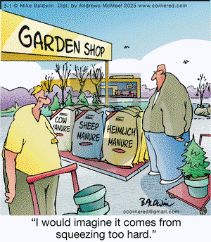 Cornered on Thursday May 1, 2025 Comic Strip