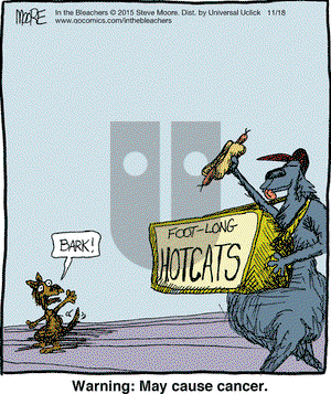 In the Bleachers on Wednesday November 18, 2015 Comic Strip