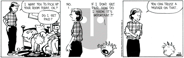 Calvin and Hobbes on Saturday July 29, 1995 Comic Strip