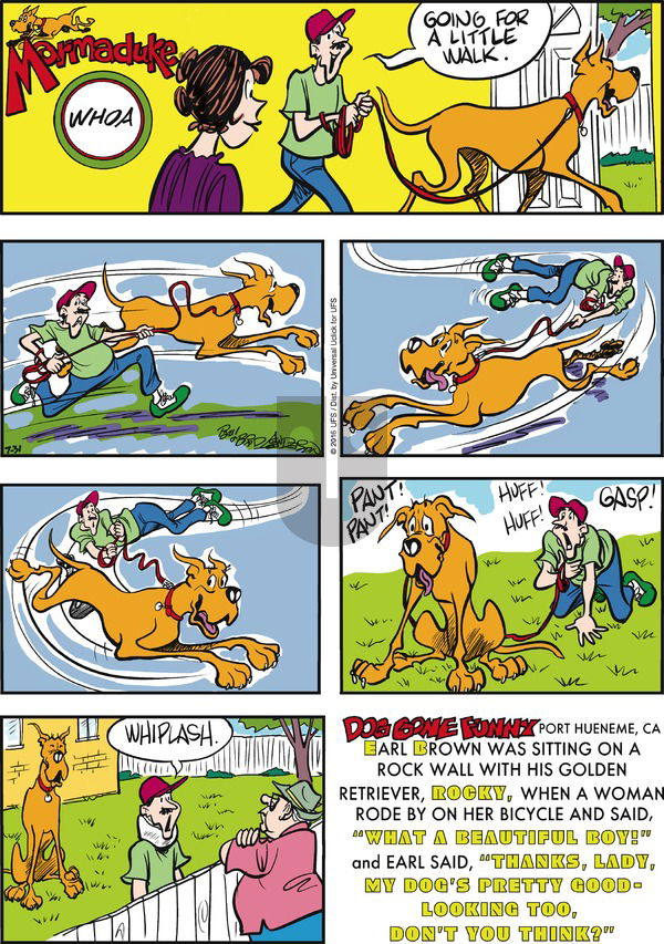 Marmaduke on Sunday July 31, 2016 Comic Strip