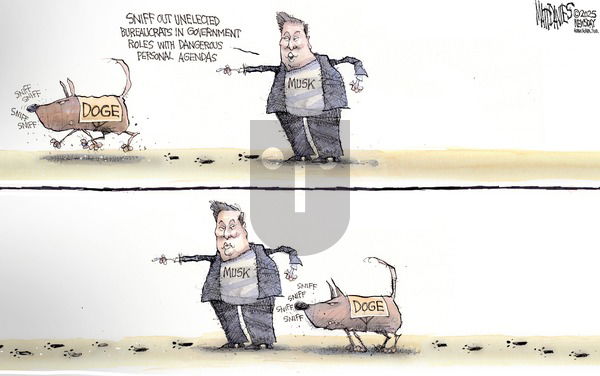 Matt Davies on Sunday February 2, 2025 Comic Strip