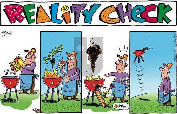 Reality Check on Sunday March 3, 2013 Comic Strip
