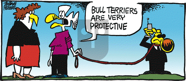 Mother Goose and Grimm - Wednesday July 31, 2024 Comic Strip