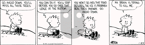 Calvin and Hobbes - Friday January 24, 1992 Comic Strip