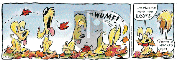 FurBabies - Wednesday October 2, 2024 Comic Strip