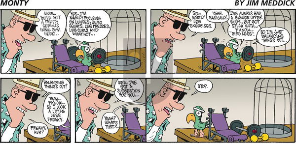 Monty on Sunday May 28, 2017 Comic Strip