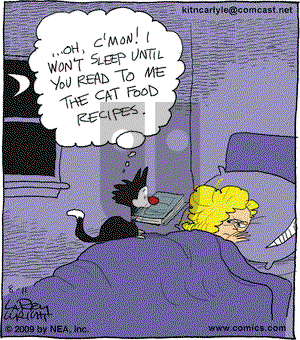 Kit 'N' Carlyle on Tuesday August 11, 2009 Comic Strip