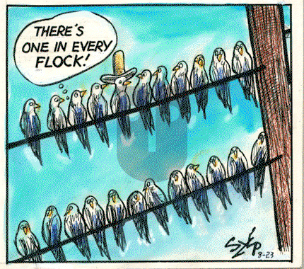 Today's Szep on Wednesday December 14, 2022 Comic Strip
