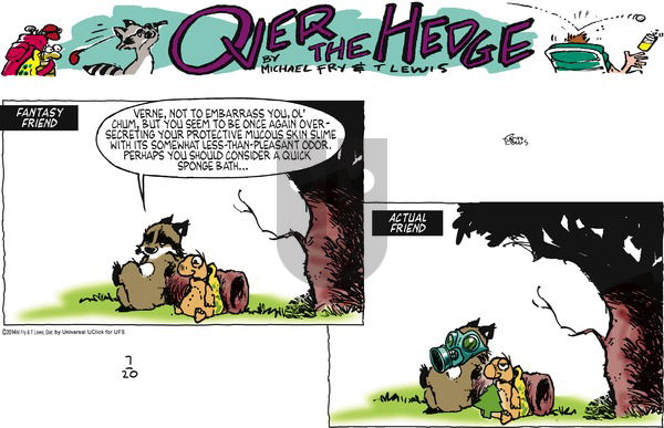 Over the Hedge on Sunday July 20, 2014 Comic Strip