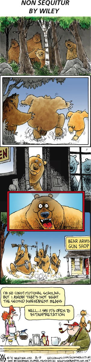 Non Sequitur on Sunday August 19, 2018 Comic Strip