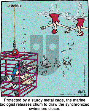 In the Bleachers on Friday December 22, 2000 Comic Strip